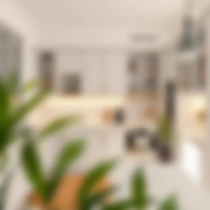 Personalized Touches in Contemporary White Kitchens Personalized touches in contemporary white kitchens