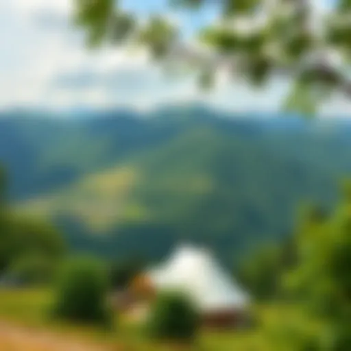 Akyaka's Natural Beauty Scenic view of Akyaka region showcasing lush greenery and mountains