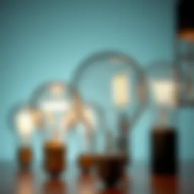 Exploring Various Light Bulb Types Diverse types of light bulbs