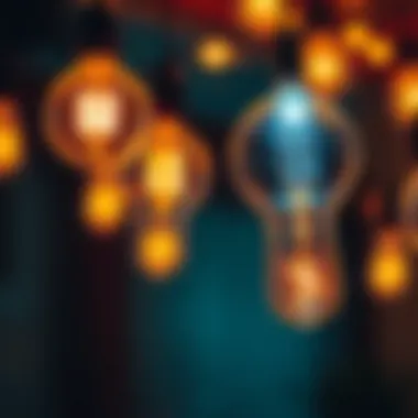 Creative DIY Uses for Light Bulbs Innovative DIY projects using light bulbs