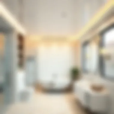 Modern Plastic Suspended Ceiling in a Bathroom Elegant bathroom with a modern plastic suspended ceiling design