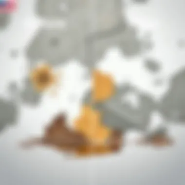 Cleaned area showing former mold presence