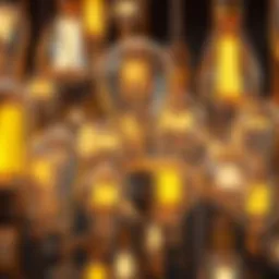 Different types of light bulbs showcasing variety