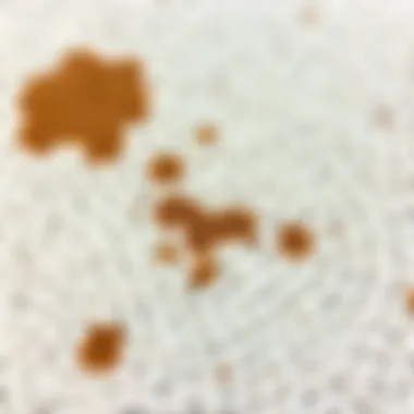 Close-up of a white carpet with stains and dirt
