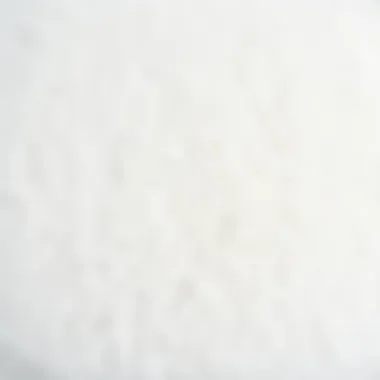 A pristine white carpet after cleaning, showcasing its texture