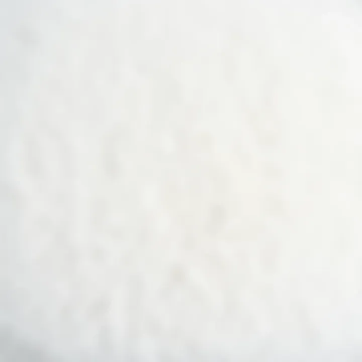 A pristine white carpet after cleaning, showcasing its texture