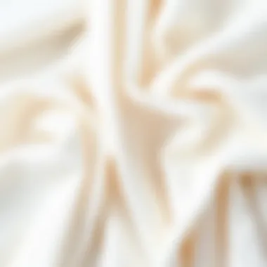 A collection of white fabrics, highlighting the textures and tones that enhance design versatility.