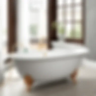 Elegant freestanding bath tub with stylish fixtures