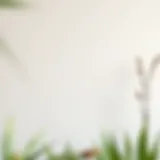 Color palette for wall painting