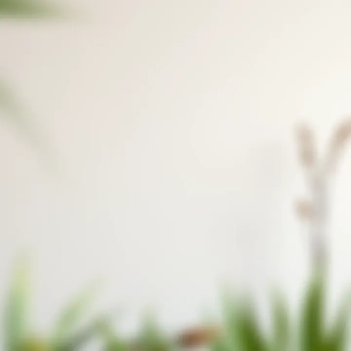 Choosing the Right Colors for Your Wall Color palette for wall painting