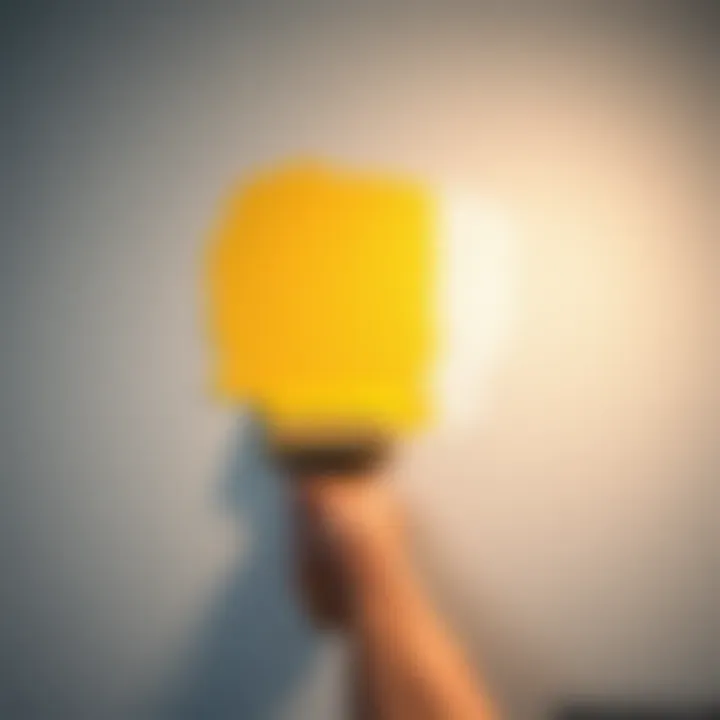 Applying the Final Coat to Achieve Perfection Final paint application on a wall