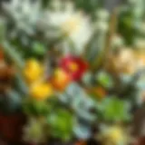 A diverse range of plants showcasing various sizes and shapes