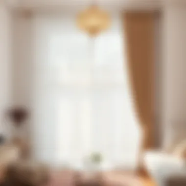 Bright room showcasing decorative sheer curtain