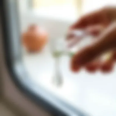 Close-up of a hand applying vinegar to a glass surface