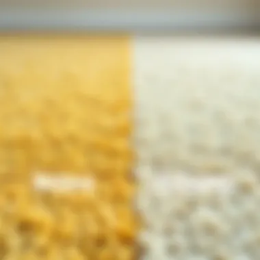 Comparison of a yellowed carpet and a fresh one