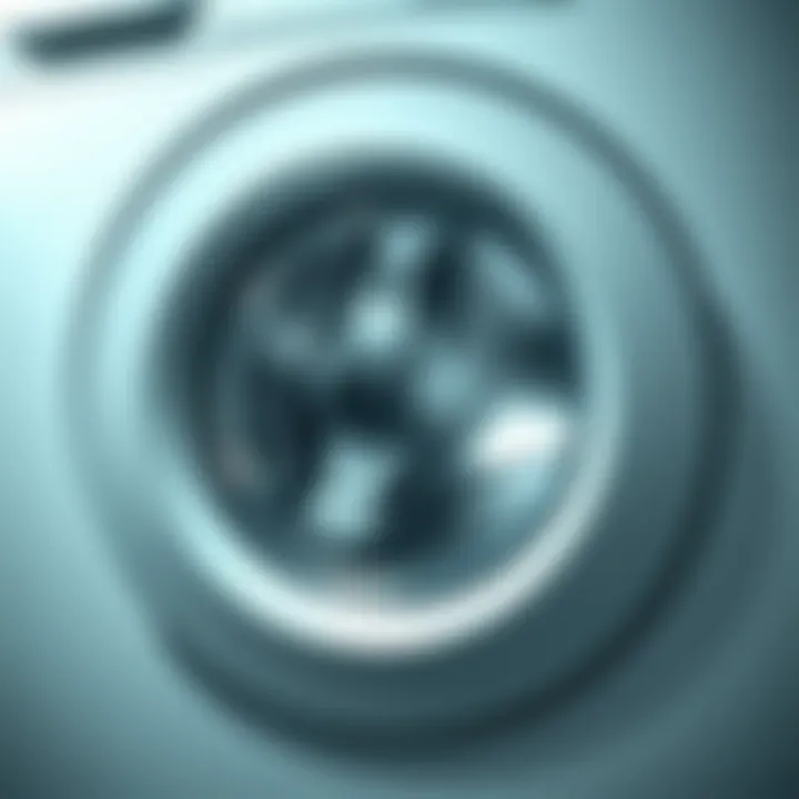 A pristine washing machine door seal after cleaning