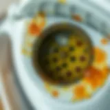 A close-up view of an iron with visible stains and algae inside the steam holes.