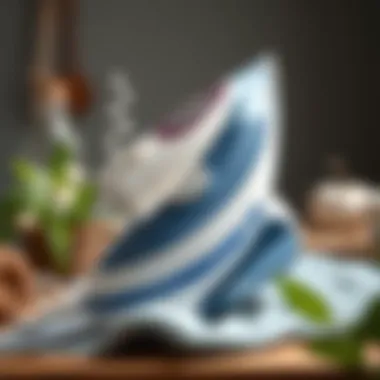 Natural Cleaning Solutions Natural cleaning solutions for maintaining an iron