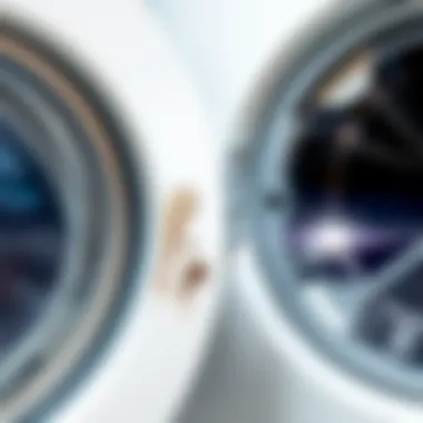 Washing machine door seal showing dirt and residue