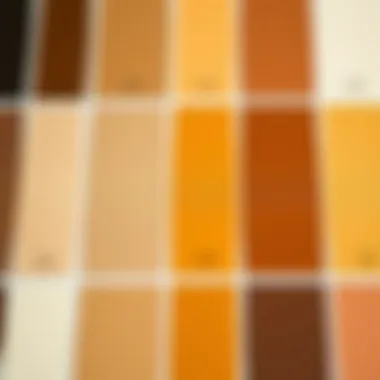 A spectrum of brown shades created by color combinations