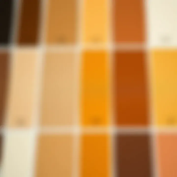 A spectrum of brown shades created by color combinations