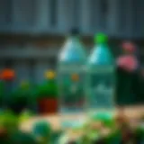 Creative recycling project using plastic bottles