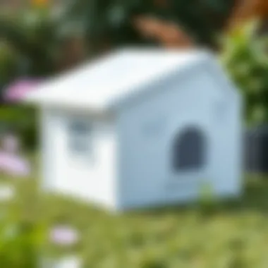 Blueprint of an ideal dog house layout