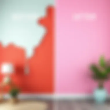 Transformation Through Color: A Wall's Journey Before and after wall transformation