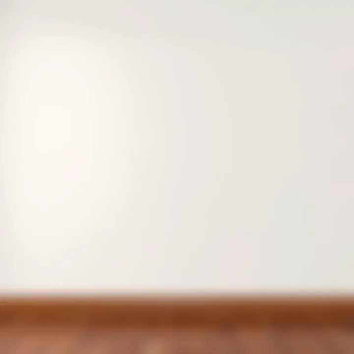 Clean Wall After Wallpaper Removal A wall showing the clean surface after wallpaper removal