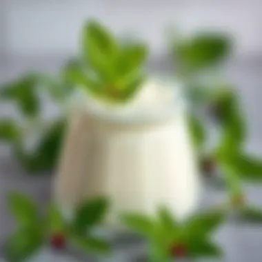 An elegant jar filled with creamy yogurt and garnished with mint leaves