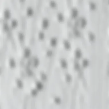 Close-up of a textured wall painted in soft gray