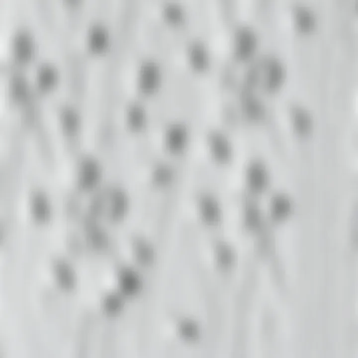 Close-up of a textured wall painted in soft gray