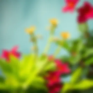 Illustrated Healthy Plant Care Tips Healthy plant care tips illustrated through vibrant foliage