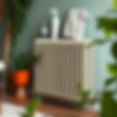 Clean radiators for optimal heating performance