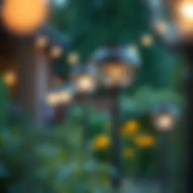 Solar-powered lights enhancing eco-friendly garden aesthetics