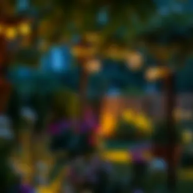 Spotlights accentuating beautiful garden features at night