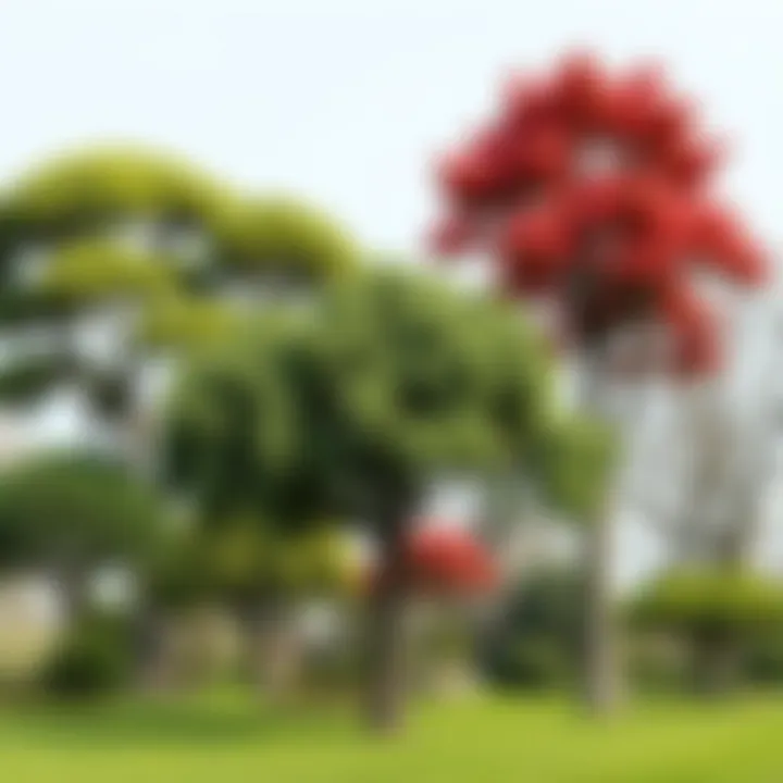 Diverse range of garden trees showcasing their unique shapes and features
