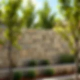 Modern garden wall design with natural stone