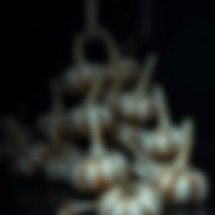 Garlic stored in a cool, dark place