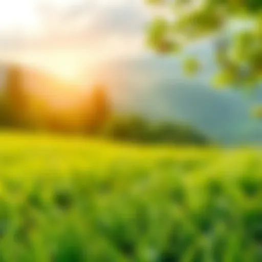 Recycling and Sustainability Recycling symbol overlaid on a lush green landscape