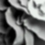 An abstract representation of gray shades blending