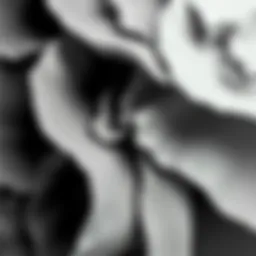 An abstract representation of gray shades blending