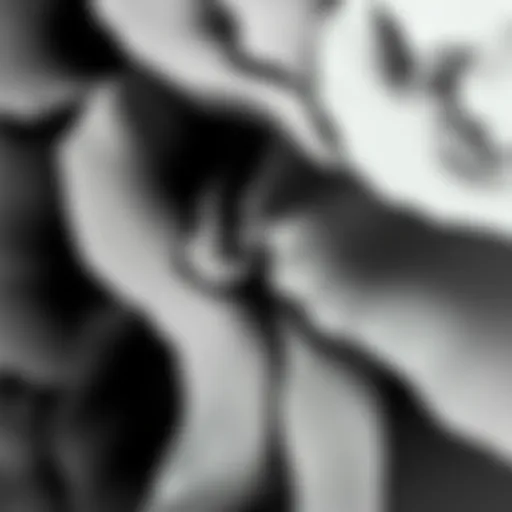 An abstract representation of gray shades blending