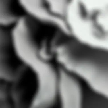 The Complexity of Gray Shades An abstract representation of gray shades blending