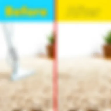 Carpet Cleaning Before and After Before and after carpet cleaning comparison