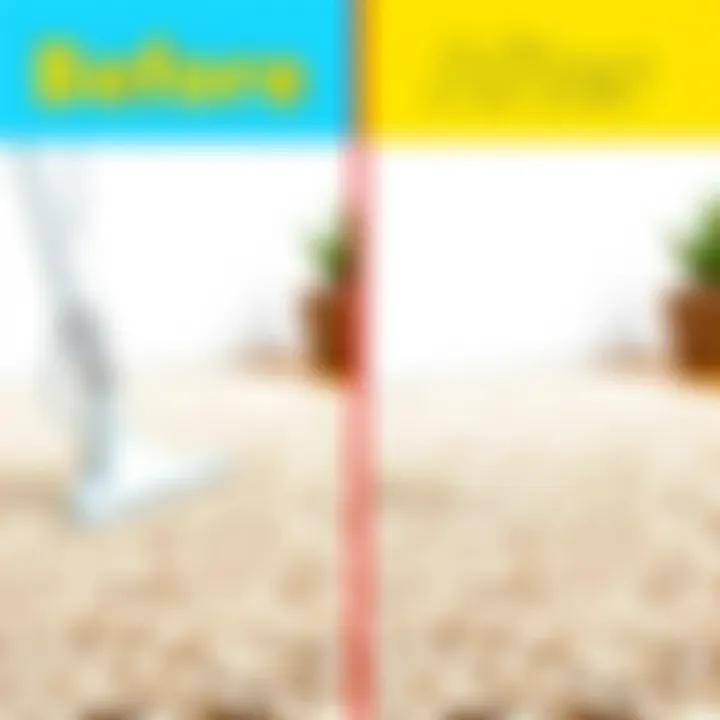 Carpet Cleaning Before and After Before and after carpet cleaning comparison