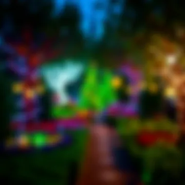 Garden of Lights A garden illuminated with colorful holiday lights creating a magical atmosphere.