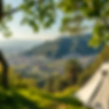 A breathtaking view of the natural landscape from a camping site in İstanbul