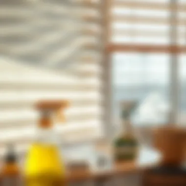 Optimal Cleaning Solutions for Blinds Using cleaning solutions on blinds
