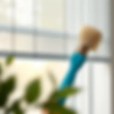 Gentle Brushing Techniques for Careful Maintenance Gentle brushing of blinds